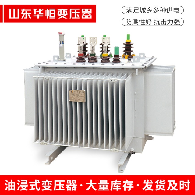 S13-10000/35东源东源东源电力变压器
